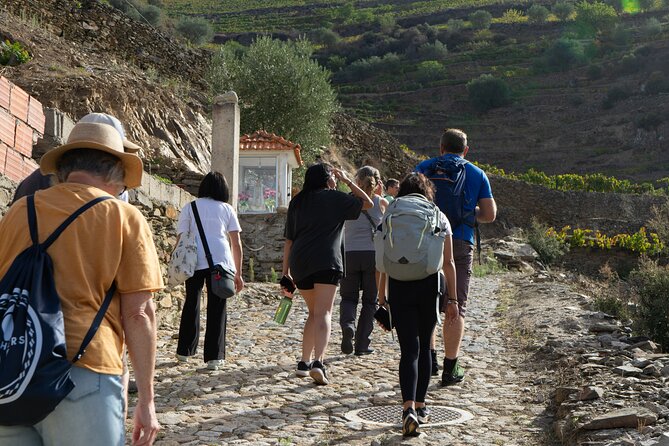 HIKING in the Douro Valley - Why this hike gives you more than a winery stop