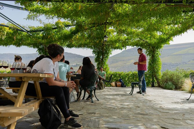 HIKING in the Douro Valley - The optional boat cruise: worthwhile or too crowded?