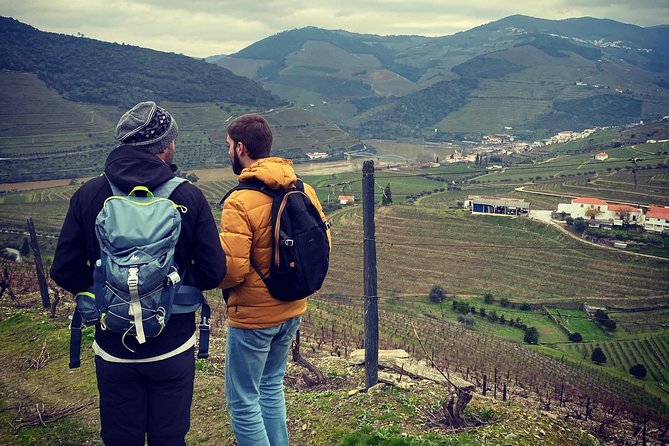 HIKING in the Douro Valley - The picnic, wine, and what you should clarify