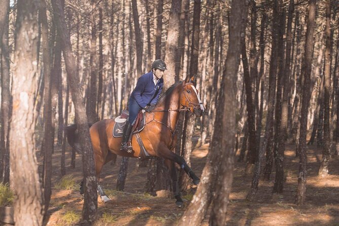 Horse Riding in the Countryside - Who should book this ride