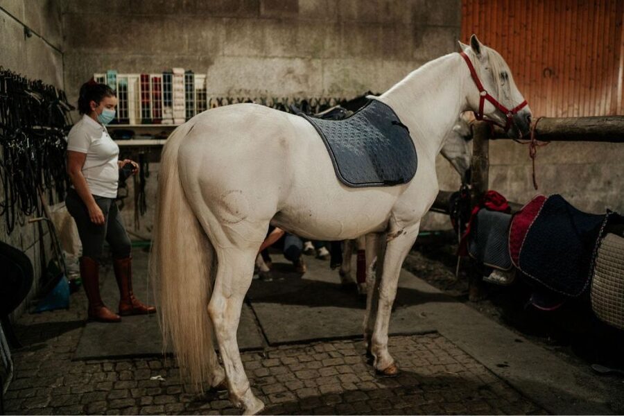 Horseback Riding Tour - Should you book the PortugalActive ride?