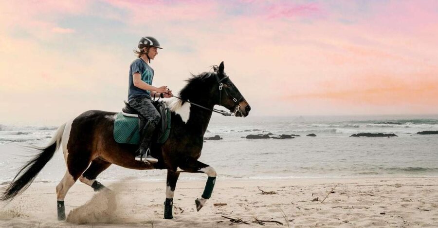 Horseback Riding Tour - Fields, mountain paths, and the possible beach section