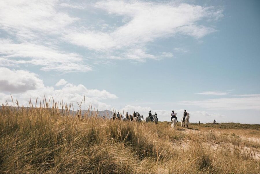 Horseback Riding Tour - Small groups and practical planning