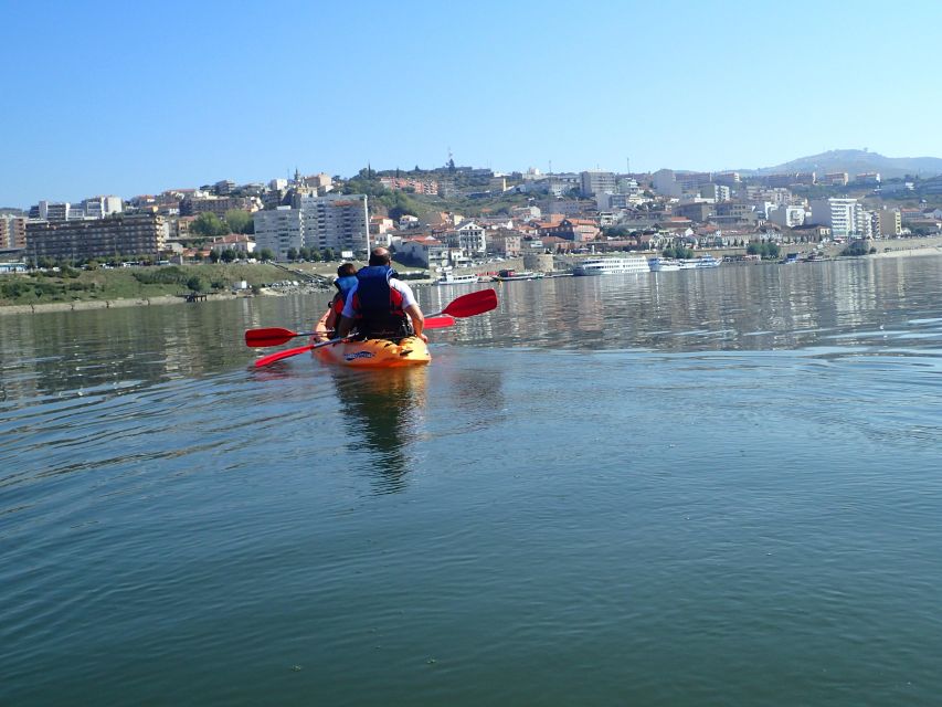 Kayak - Douro Valley - The Corgo River Mouth and a Chance to Swim