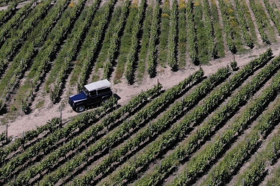 Lamego: Quinta da Portela de Baixo Winery Tour and Tasting - Key points to know before you go