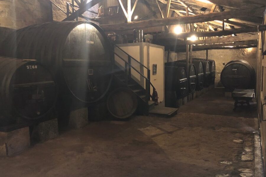 Lamego: Quinta da Portela de Baixo Winery Tour and Tasting - Six wines, generous glasses, and local pairings