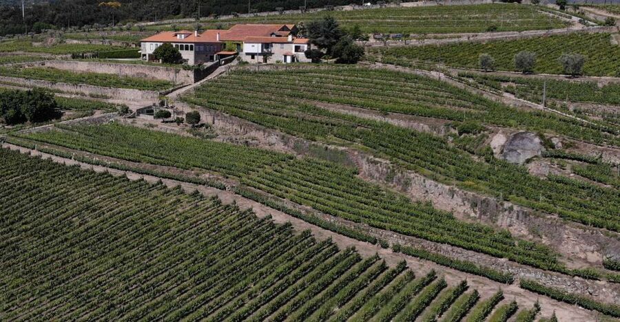 Lamego: Quinta da Portela de Baixo Winery Tour and Tasting - Walking through the two farms
