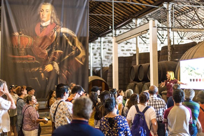MagicTrain Tour and Port Wine Cellar Visit & Tasting - Key points to know before booking