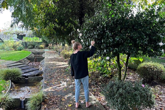 Meditation Experience at a Lovely Farm in Porto - What the Two-Hour Journey Includes