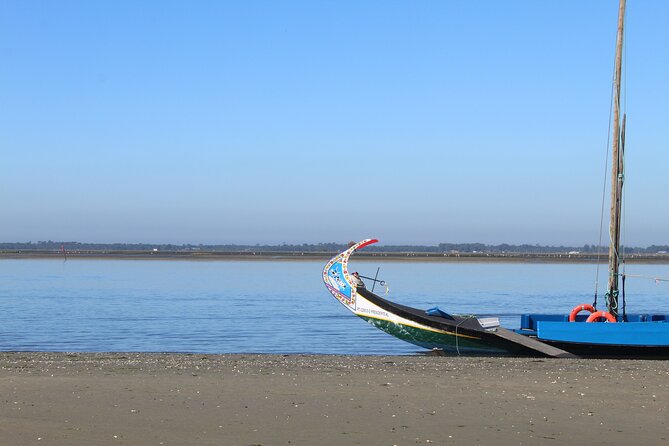 Moliceiro boat trip, with experience in bivalves harvesting - A boat ride with a purpose