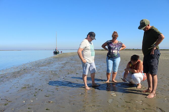Moliceiro boat trip, with experience in bivalves harvesting - Why the bivalve stop is the heart of the trip