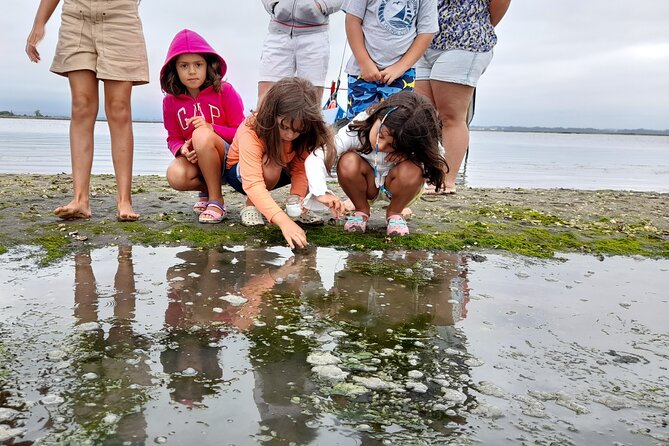 Moliceiro boat trip, with experience in bivalves harvesting - What makes the natural setting worth your time
