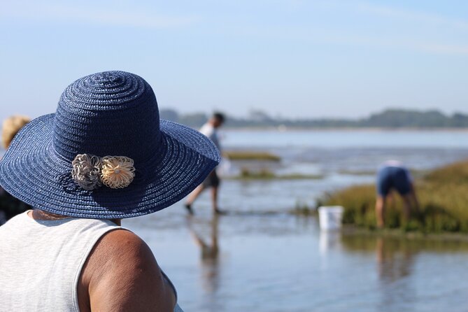 Moliceiro boat trip, with experience in bivalves harvesting - A good choice for families, with a few practical limits