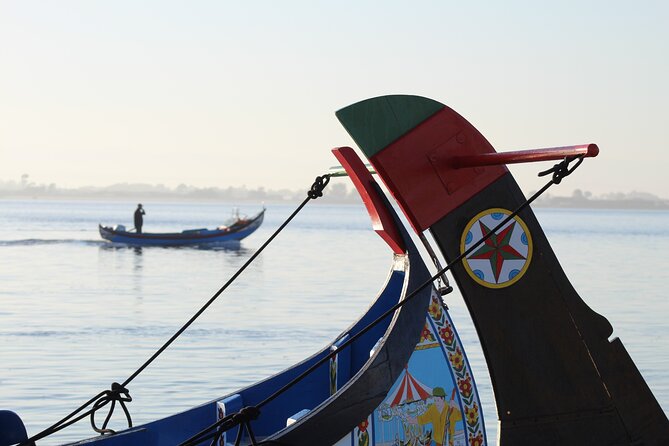 Moliceiro boat trip, with experience in bivalves harvesting - How this compares with a standard Aveiro cruise
