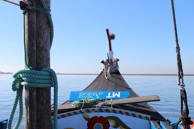 Moliceiro boat trip, with experience in bivalves harvesting - Leaving Murtosa and entering the lagoon