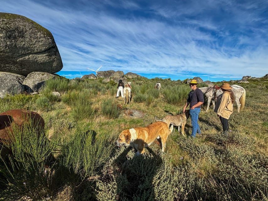 Mountain Horseback Ride & Lunch - A Mountain Day Beyond the Vineyards