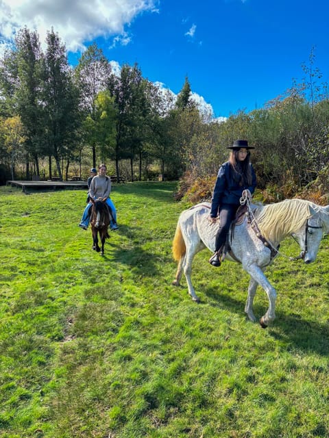 Mountain Horseback Ride & Lunch - Two Hours Through Forests, Streams, and Old Bridges
