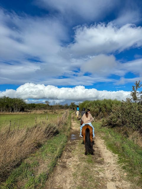 Mountain Horseback Ride & Lunch - A 100-Minute Wine Tasting to Finish the Day