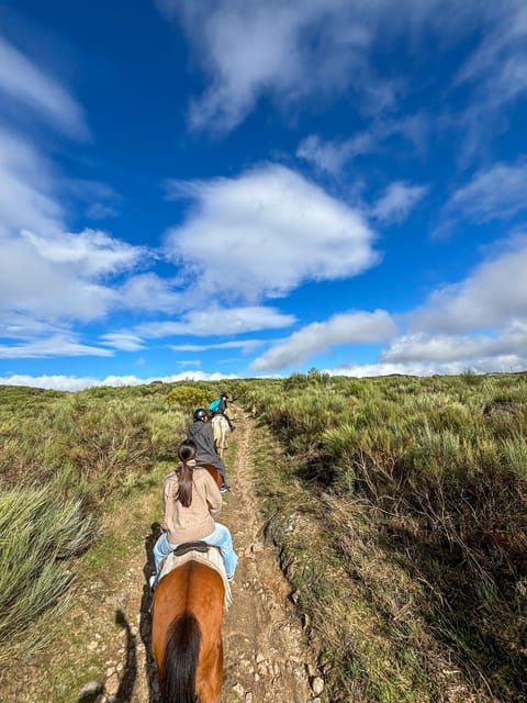 Mountain Horseback Ride & Lunch - The Guides and the Feel of the Day