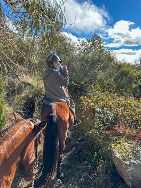Mountain Horseback Ride & Lunch - Who Will Enjoy This Douro Experience Most