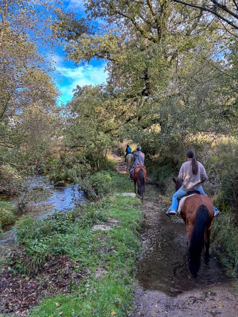 Mountain Horseback Ride & Lunch - Weather, Cancellation, and Planning Notes