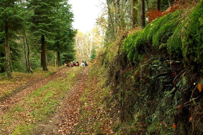 Nozzle Horn Protected Landscape Area - A full day from city streets to mountain country
