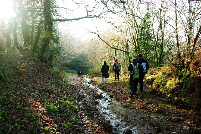 Nozzle Horn Protected Landscape Area - Walking through Portugal’s oak country