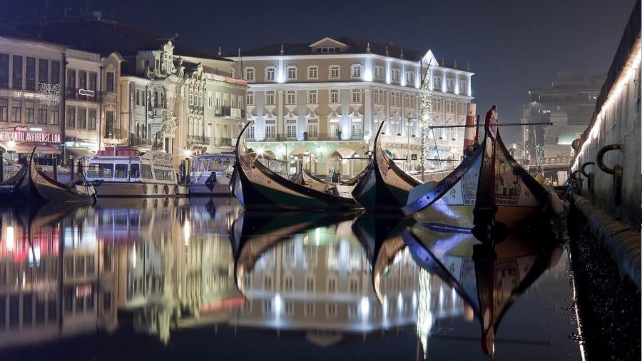 Panoramic Boat City Tour in Aveiro - Key points at a glance