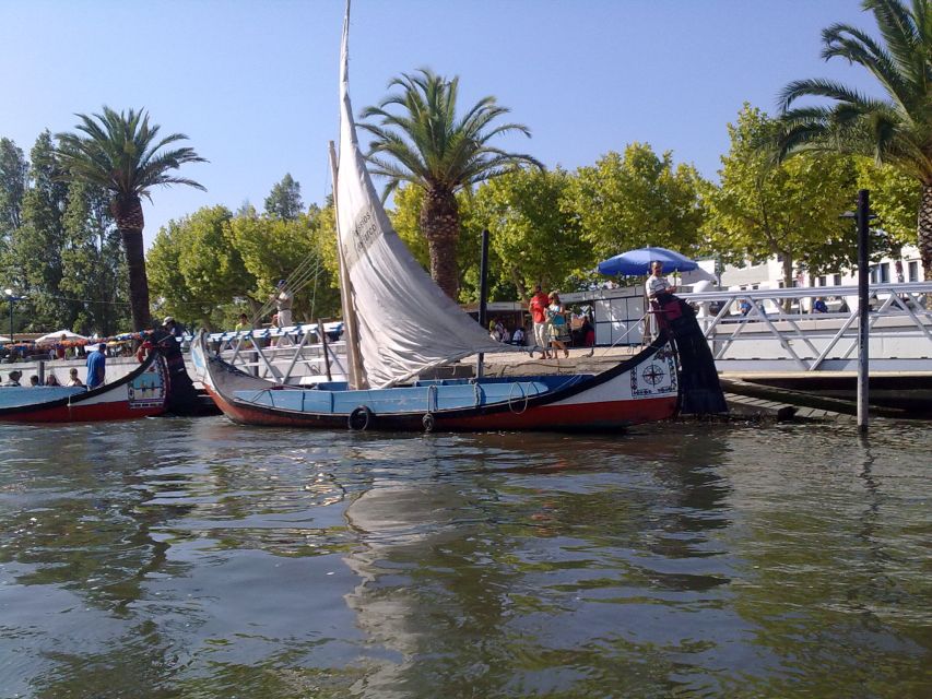 Panoramic Boat City Tour in Aveiro - Who should book this canal cruise?