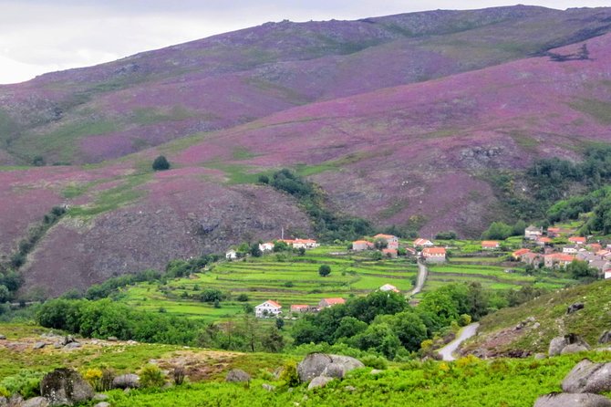Peneda-Gerês Hiking & Sightseeing: Private Experience - Three hours at Miradouro da Pedra Bela