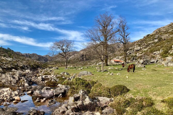 Peneda-Gerês Hiking & Sightseeing: Private Experience - Weather, walking, and family fit