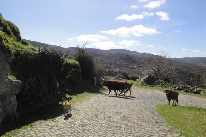 Peneda-Gerês National Park - A Time Travel Through The Mountains - - Reading the Roman past in the valley