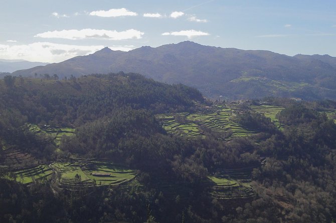 Peneda-Gerês National Park - A Time Travel Through The Mountains - - Petroglyphs in the open air