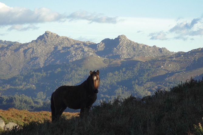 Peneda-Gerês National Park - A Time Travel Through The Mountains - - Minho lunch, followed by a mountain picnic