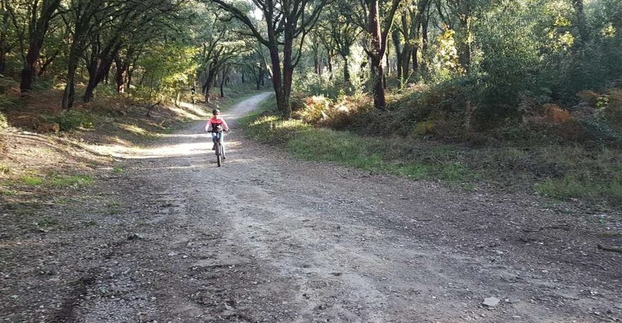 Peneda Gerês National Park: Self-Guided Electric Bike Tour - Key points to know before riding