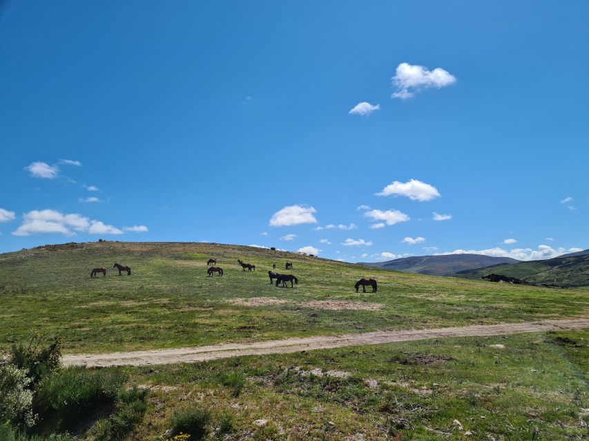 Peneda Gerês National Park: Self-Guided Electric Bike Tour - A long ride through Portugal’s only national park