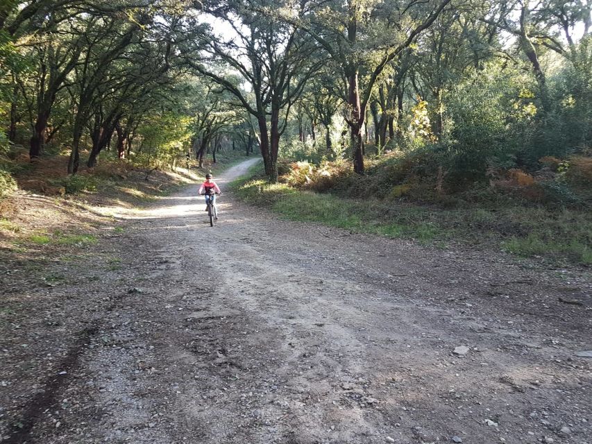 Peneda Gerês National Park: Self-Guided Electric Bike Tour - Ermelo and the climb toward Soajo