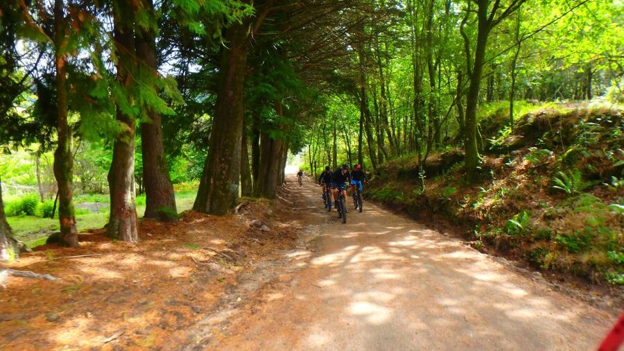 Peneda Gerês National Park: Self-Guided Electric Bike Tour - Who will get the best value from $94