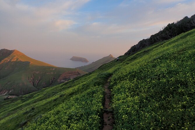 Pico do Facho Panoramic Trail - Families, children, and pets