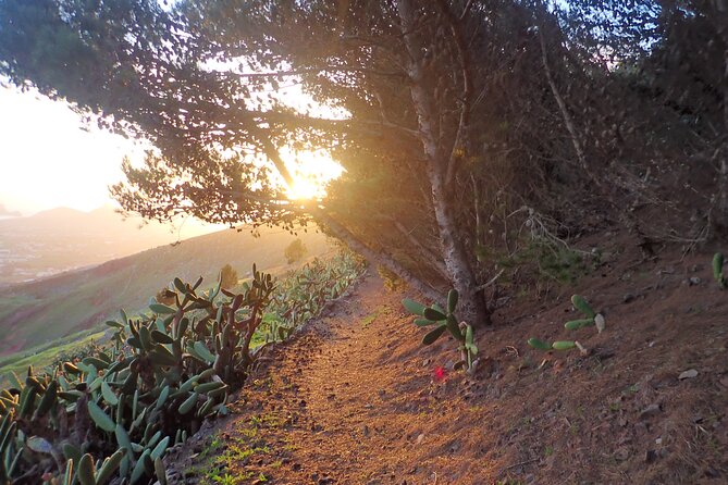 Pico do Facho Panoramic Trail - What to bring for a comfortable two hours