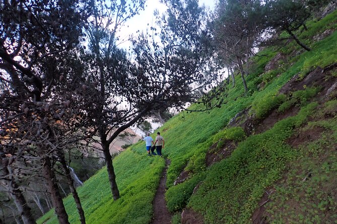 Pico do Facho Panoramic Trail - Weather and cancellation choices