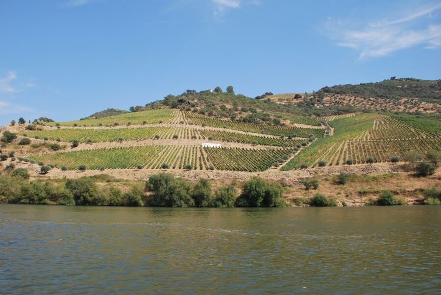 Pinhão: 2-Hour Rabelo Boat Tour with Audio Guide - Why this part of the Douro is worth seeing from the water