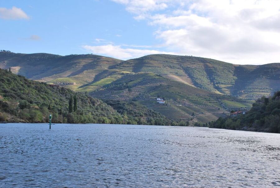 Pinhão: 2-Hour Rabelo Boat Tour with Audio Guide - The long vineyard corridor to Tua