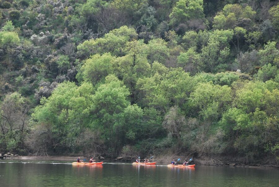 Pinhão: 4 Hour Douro Valley Kayak Rental - Paddling Out Toward the Douro Valley
