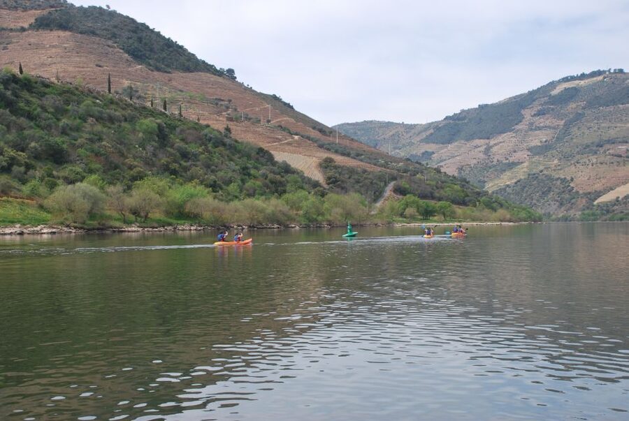 Pinhão: 4 Hour Douro Valley Kayak Rental - Choosing Between the Main River and the Quieter Route