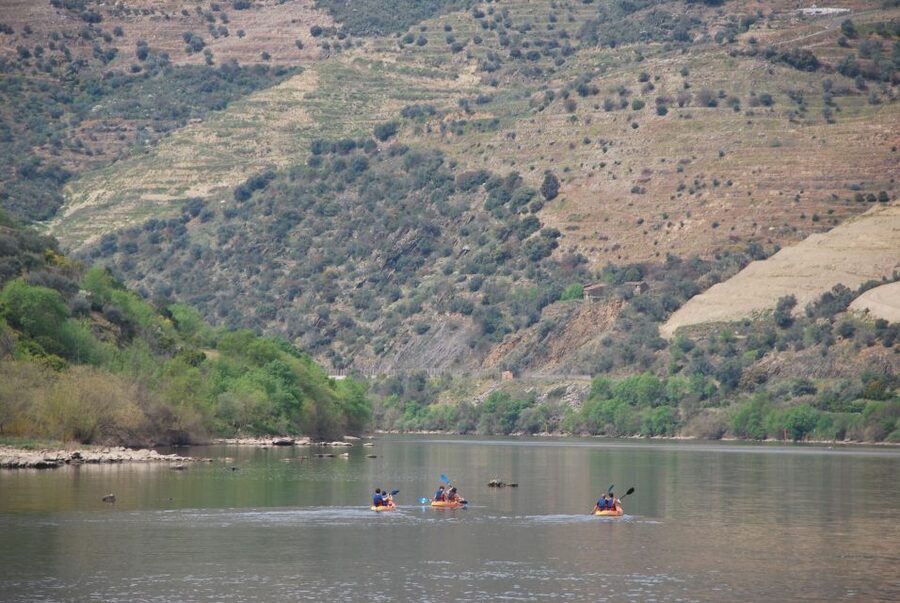 Pinhão: 4 Hour Douro Valley Kayak Rental - What Four Hours Really Feels Like