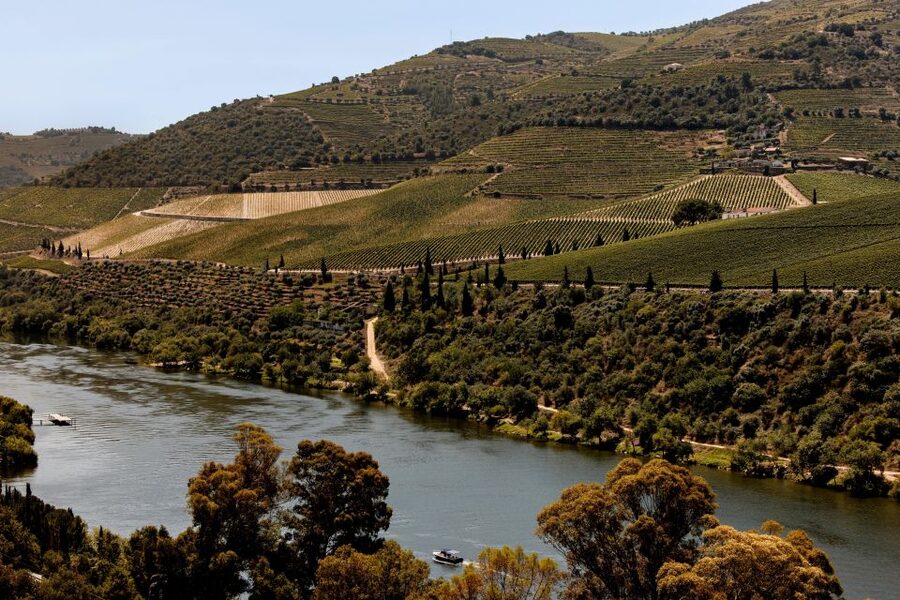 Pinhão: Douro River Boat Tour with Lunch - Who should book this experience?