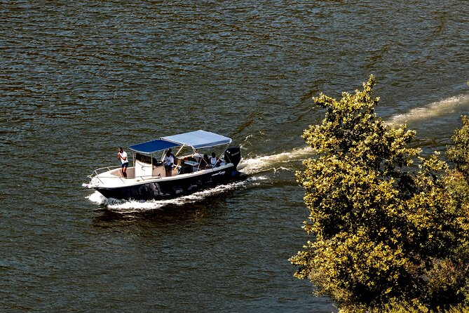 Pinhão: Douro River Cruise with Lunch Included - A small boat is the right way to see the Douro