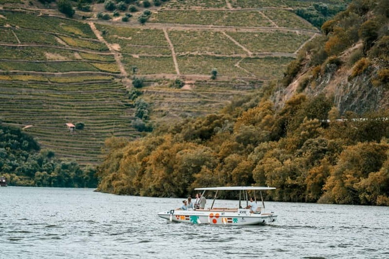 Pinhão: Douro River Solar Boat Tour with Wine Tasting - The scenery is the real centerpiece