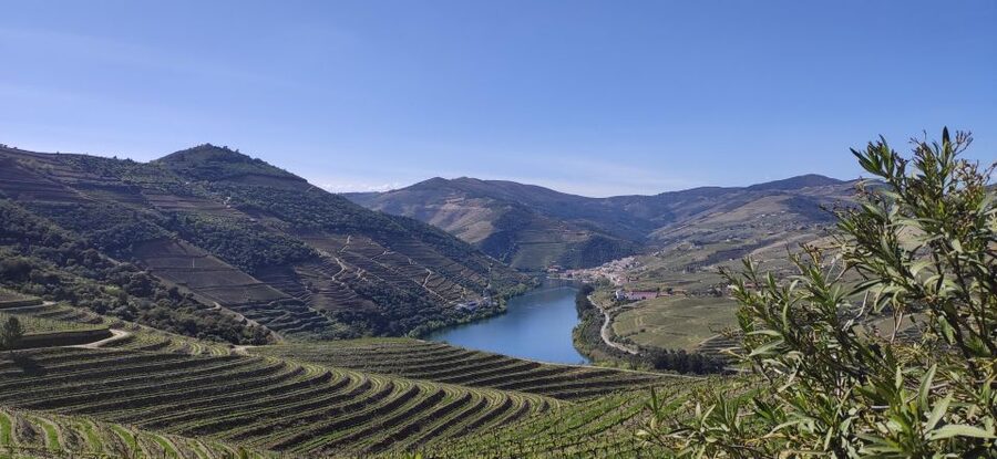 Pinhão: Douro Valley with Wine Tasting, Boat Trip and Lunch - Key points at a glance